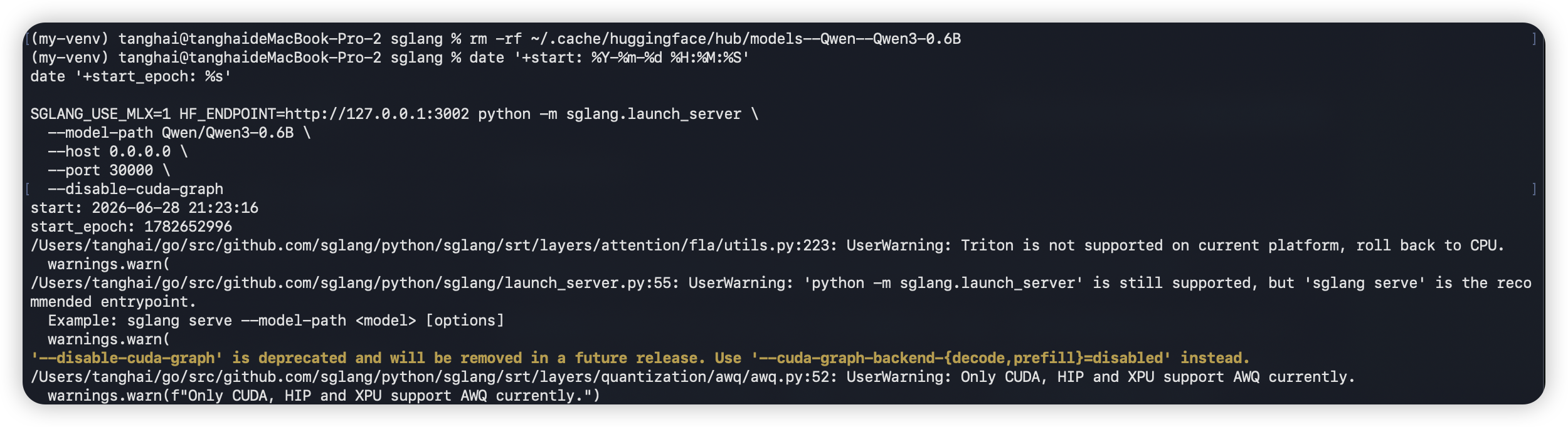 使用 MatrixHub endpoint 启动 SGLang